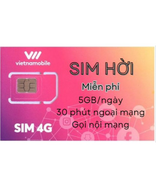 SIM HỜI MIỀN NAM