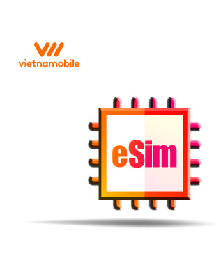 copy of ESIM