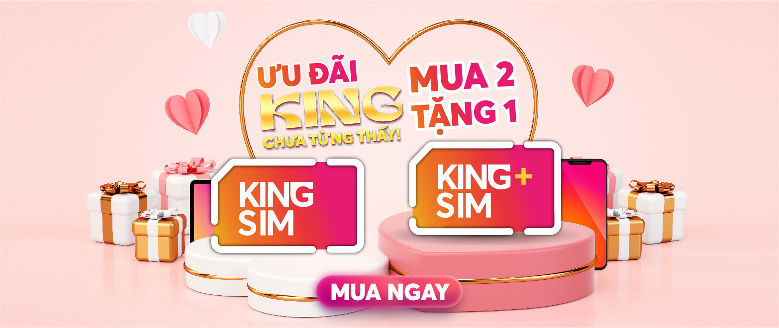 King Sim Plus